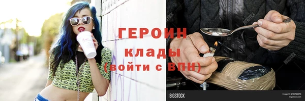 СК Алексин