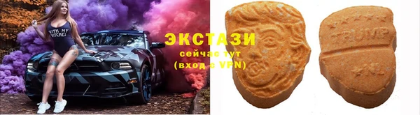 СК Алексин
