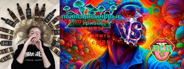 СК Алексин