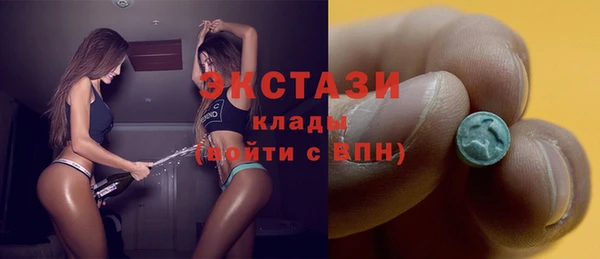 дмт Пересвет