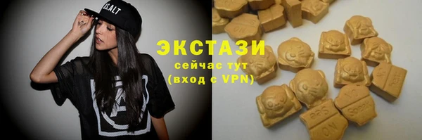 СК Алексин