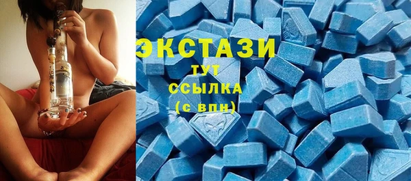 СК Алексин