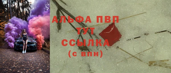 СК Алексин