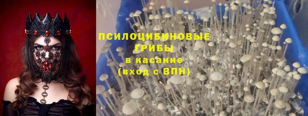 мдпв Алзамай