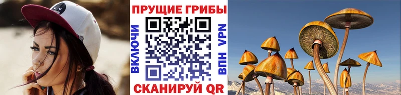 Галлюциногенные грибы прущие грибы  Кореновск 